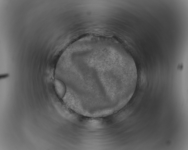 X0000114650236200911101327