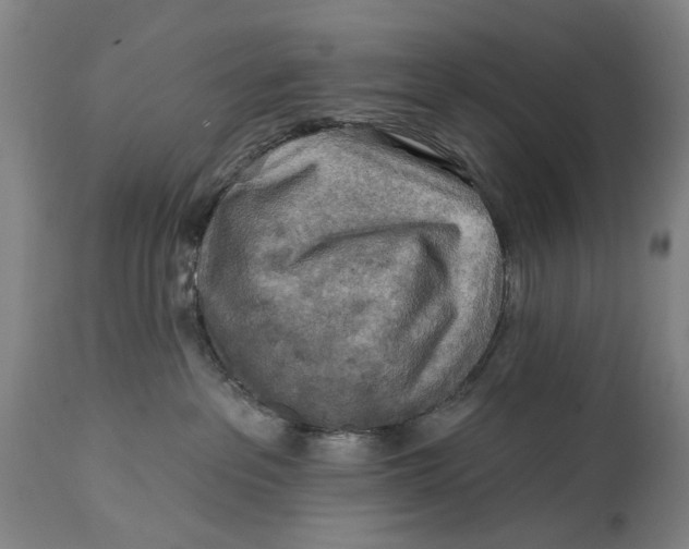 X0000114650237200911101327