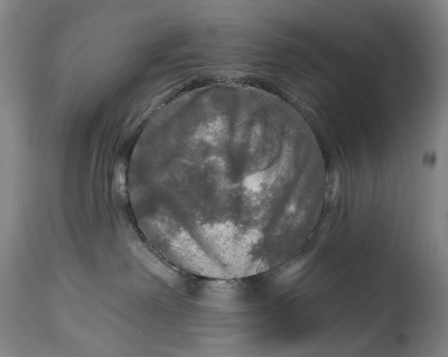 X0000114650238200911101327