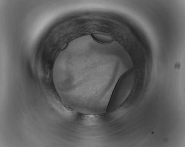 X0000114650239200911101327