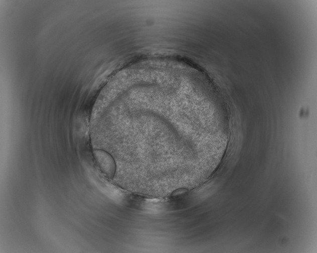 X0000114650240200911101327