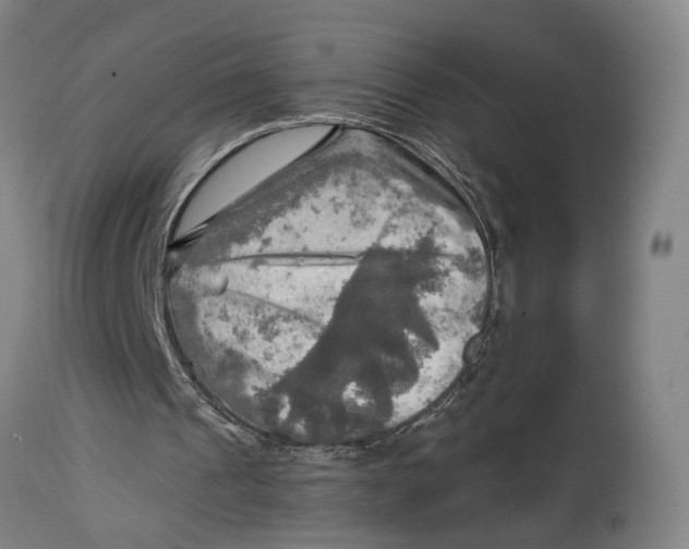 X0000114650241200911101327