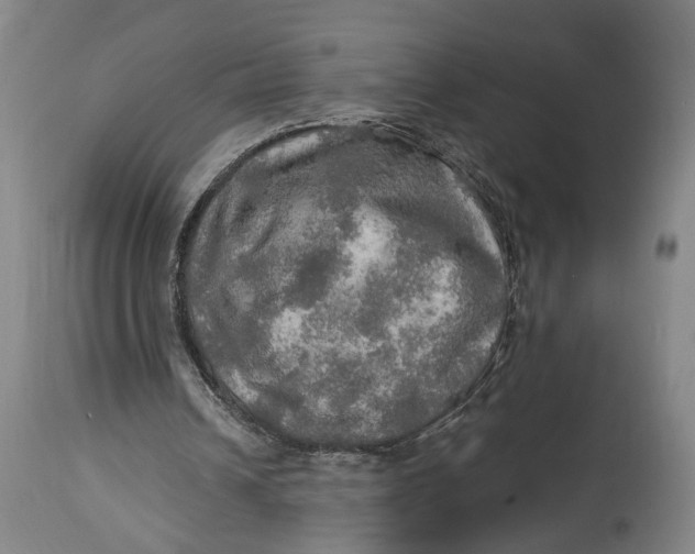 X0000114650242200911101327