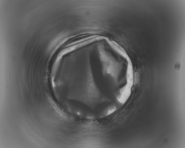 X0000114650243200911101327