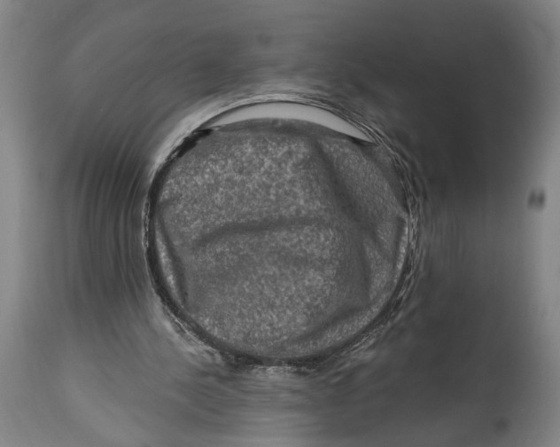 X0000114650244200911101327