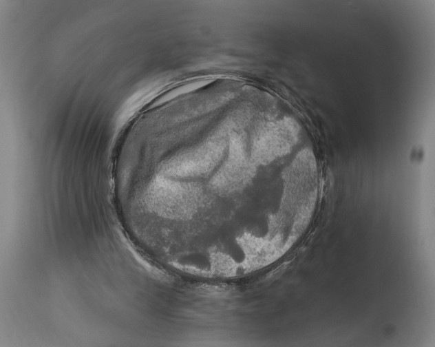 X0000114650245200911101327