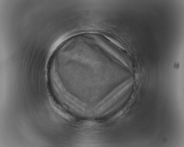 X0000114650246200911101327