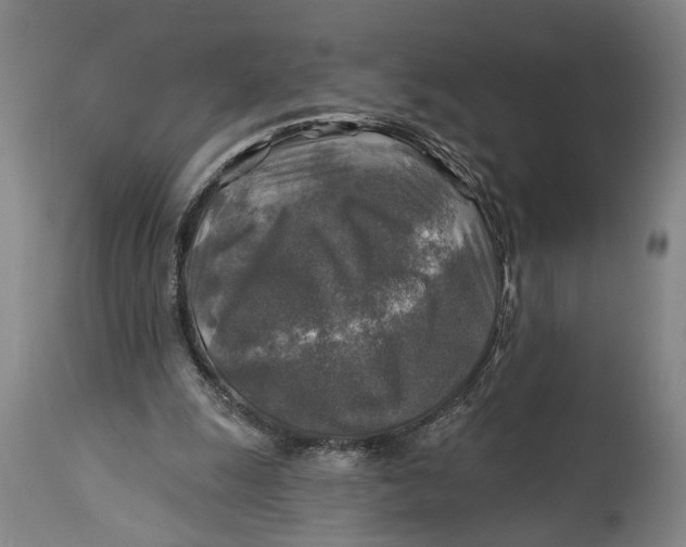 X0000114650247200911101327