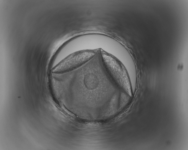 X0000114650248200911101327