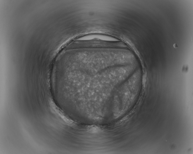 X0000114650249200911101327