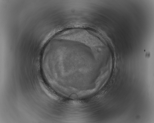 X0000114650250200911101327