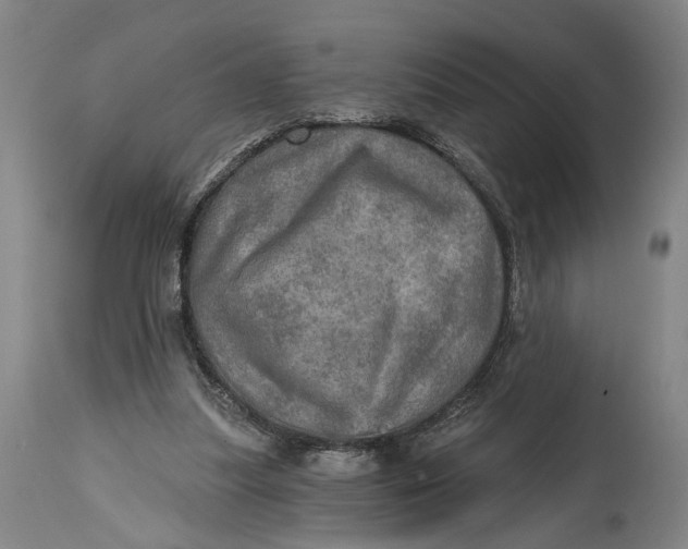 X0000114650251200911101327