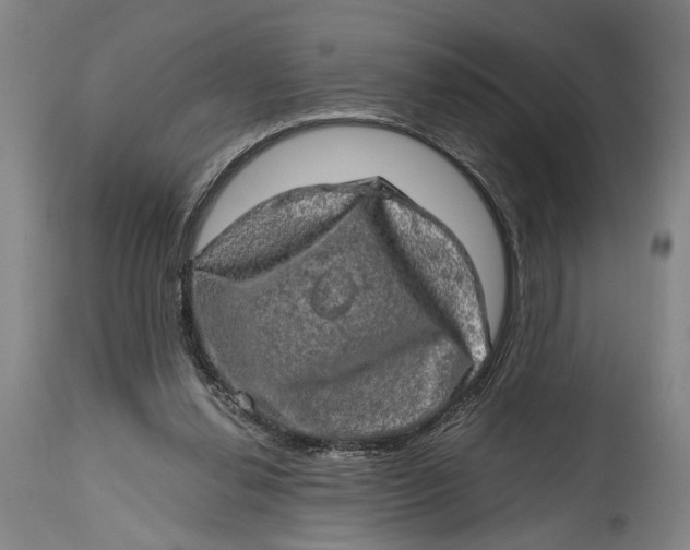 X0000114650252200911101327