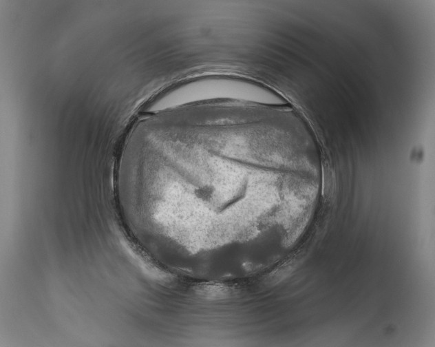 X0000114650253200911101327