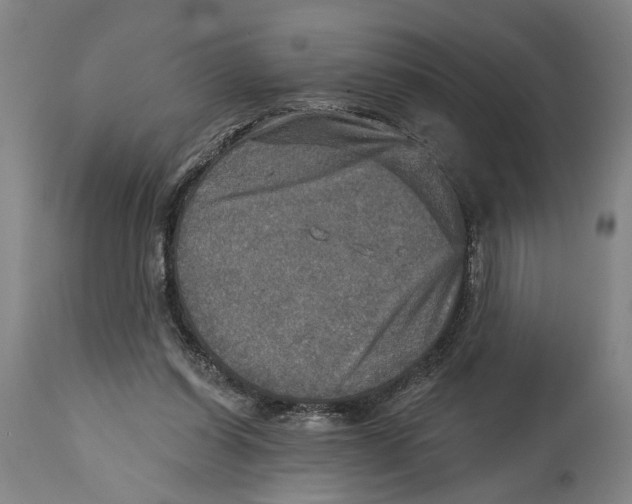 X0000114650254200911101327