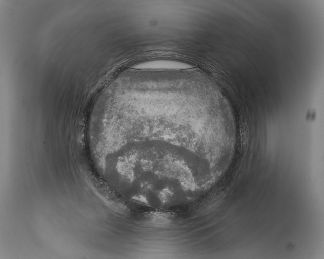 X0000114650255200911101327