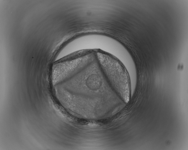 X0000114650256200911101327