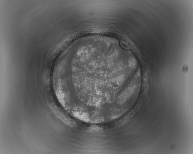 X0000114650257200911101327