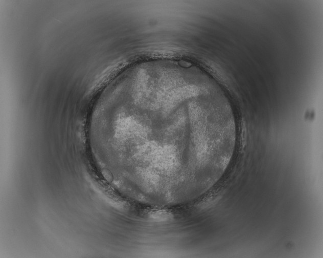 X0000114650258200911101327