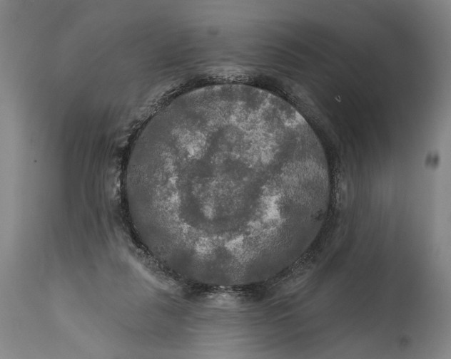 X0000114650259200911101327