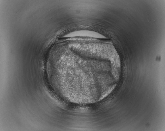 X0000114650260200911101327