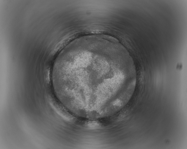 X0000114650262200911101327