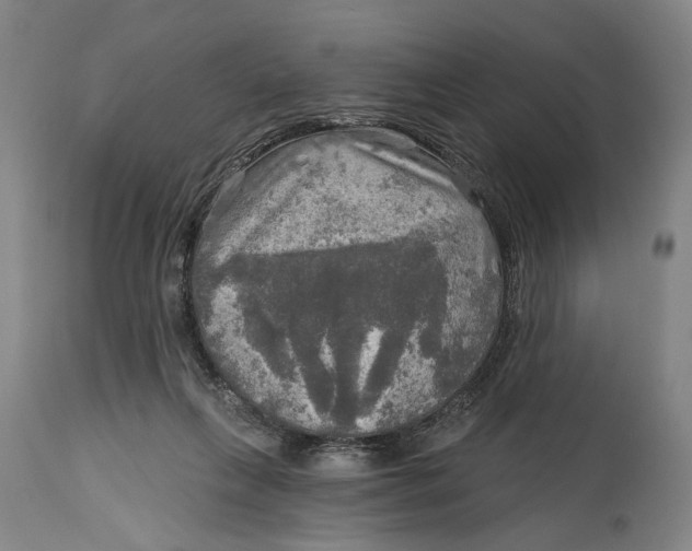 X0000114650263200911101327