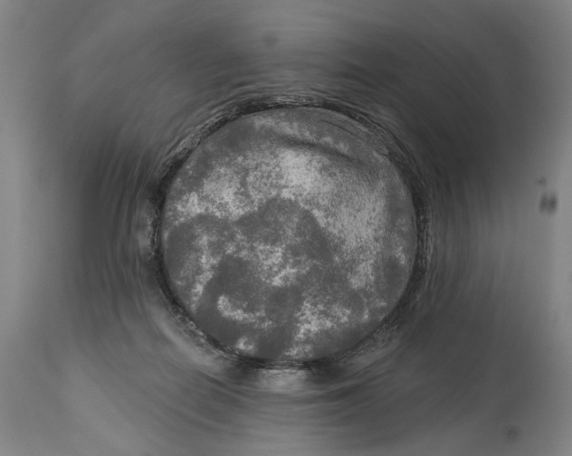 X0000114650266200911101327