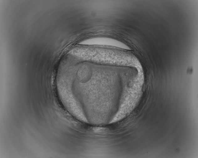 X0000114650268200911101327