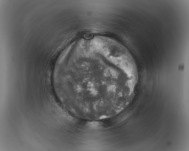 X0000114650269200911101327