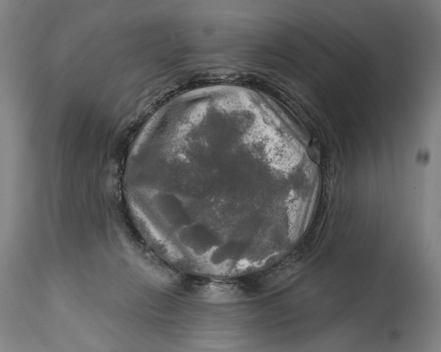 X0000114650270200911101327