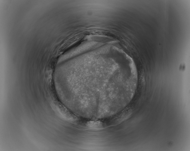 X0000114650271200911101327