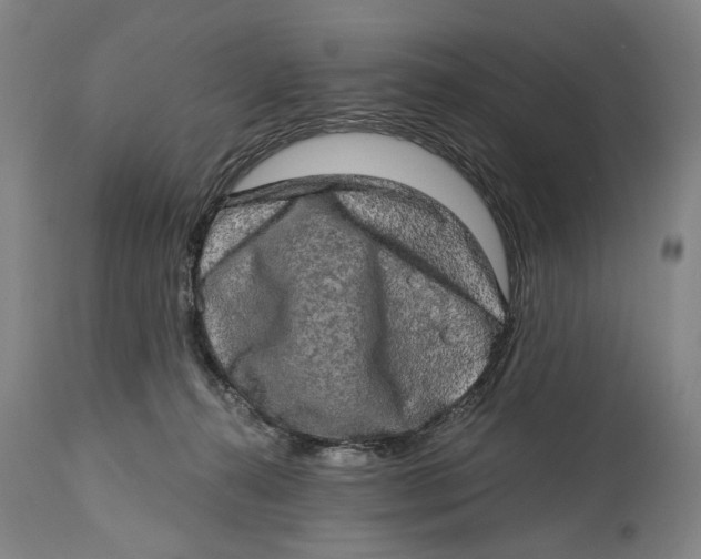 X0000114650272200911101327