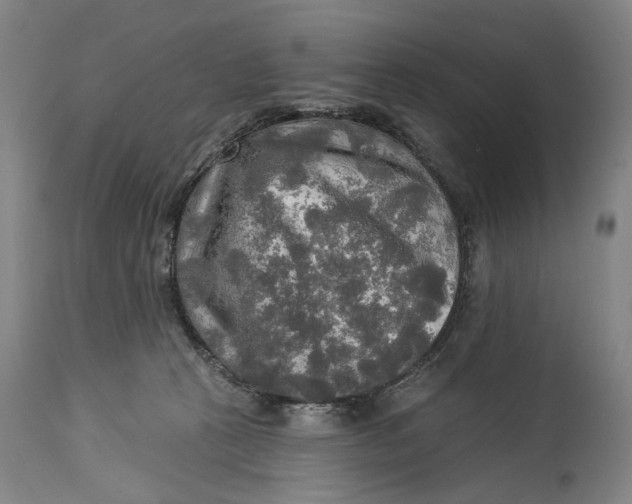 X0000114650273200911101327