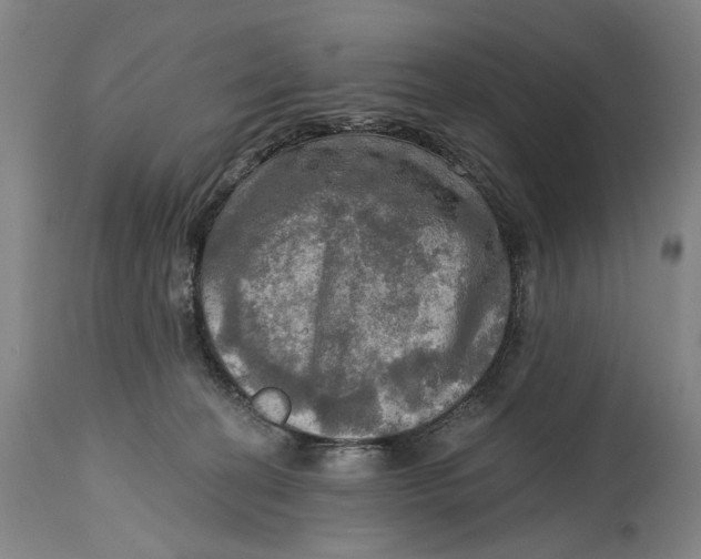 X0000114650274200911101327