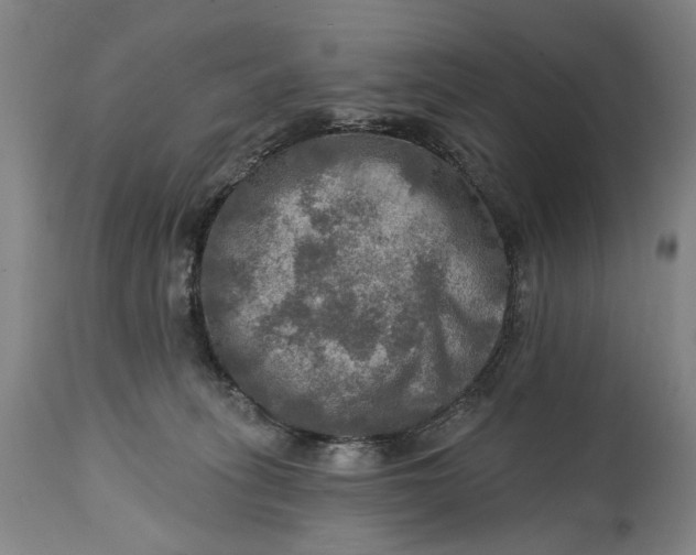 X0000114650275200911101327