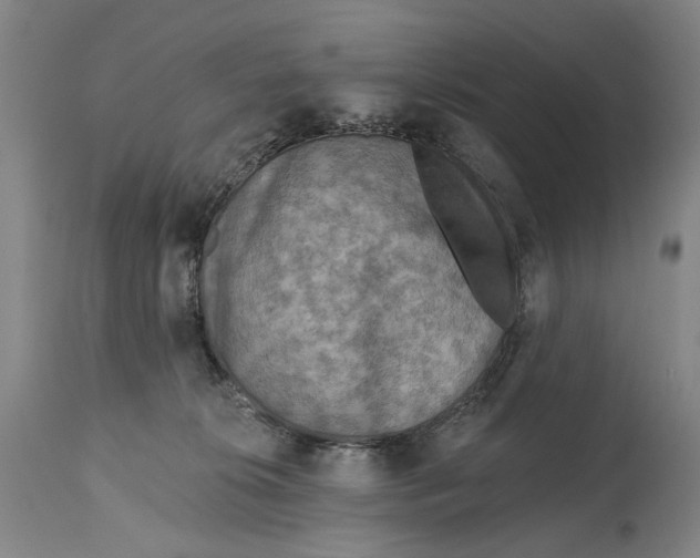 X0000114650276200911101327