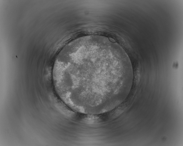 X0000114650278200911101327