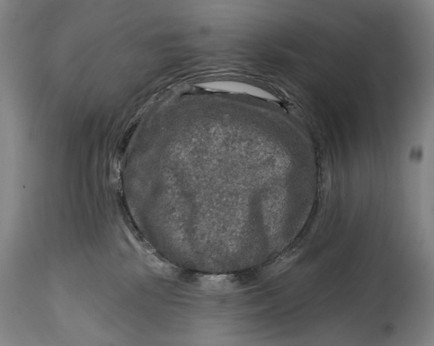 X0000114650281200911101327