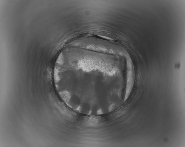 X0000114650282200911101327