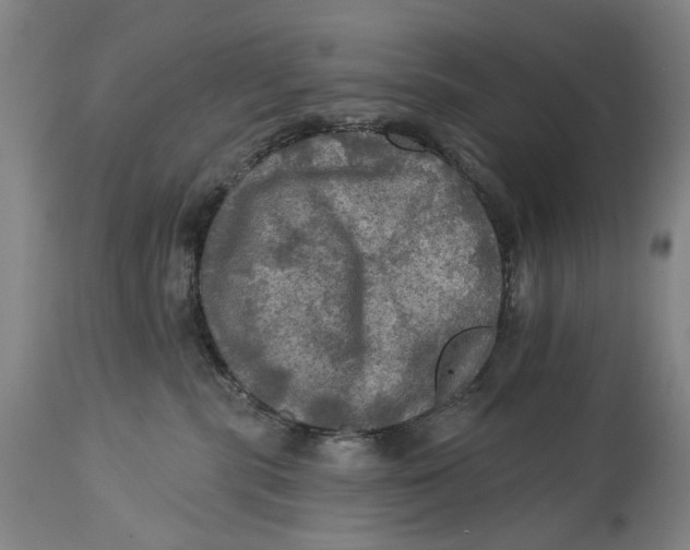 X0000114650283200911101327