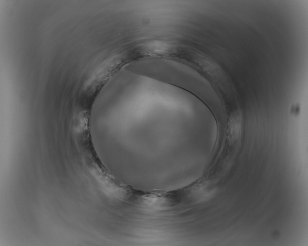 X0000114650284200911101327