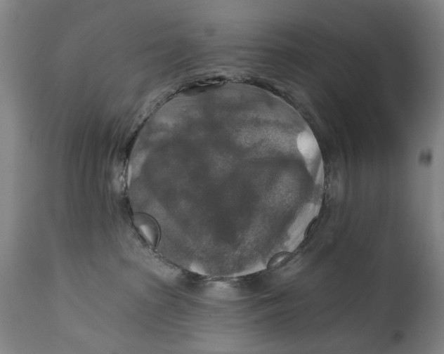 X0000114650285200911101327