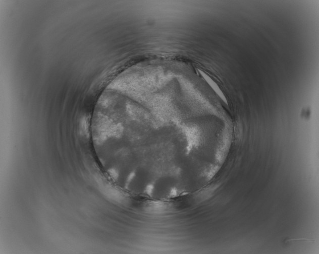 X0000114650286200911101327