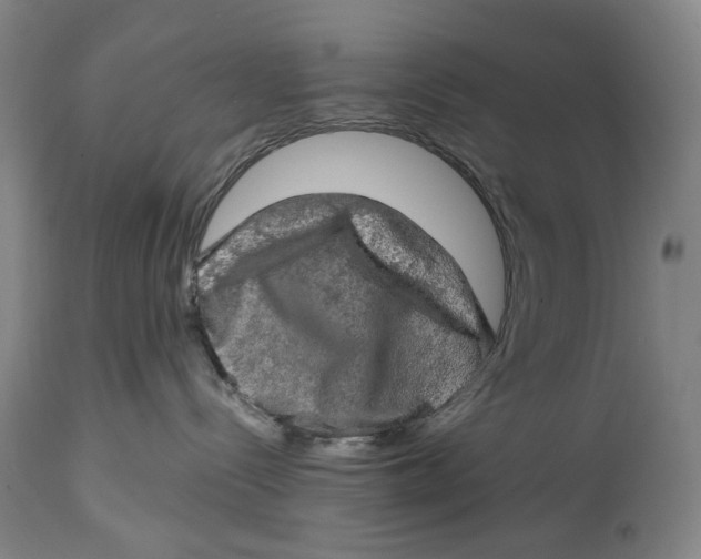 X0000114650288200911101327