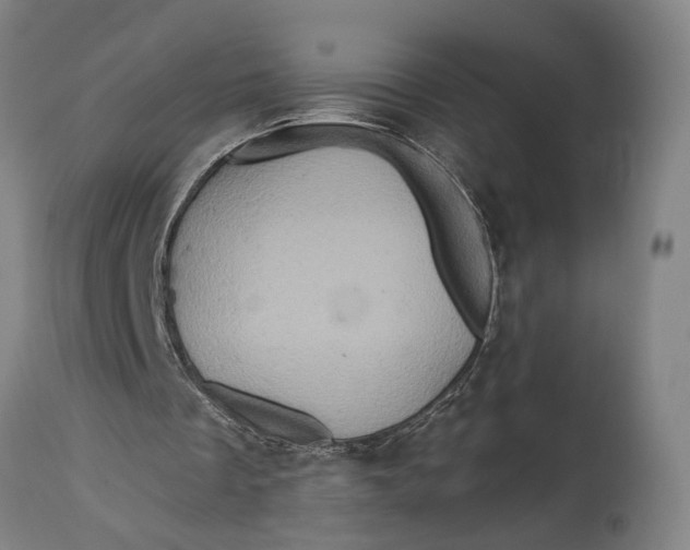 X0000114650289200911101327