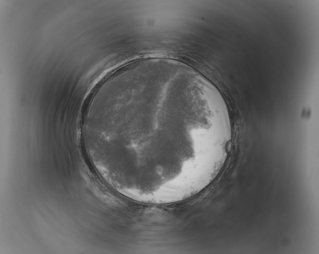 X0000114650290200911101327