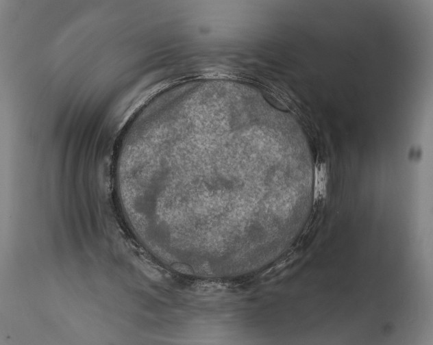 X0000114650291200911101327