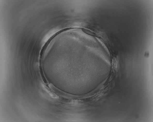 X0000114650292200911101327