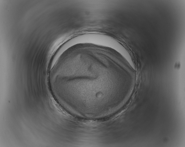 X0000114650293200911101327